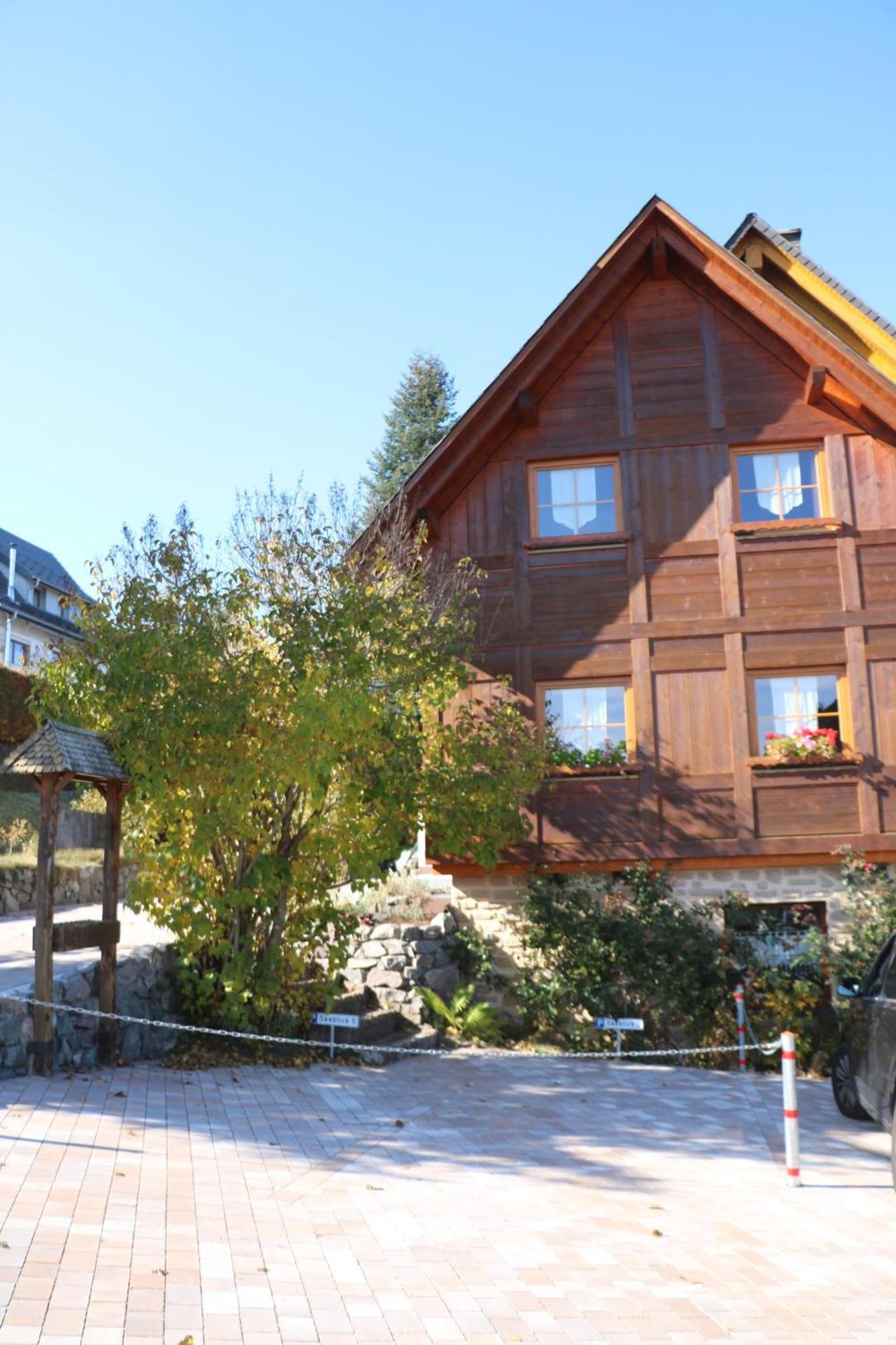 Ferienwohnung Seeblick Nr 5, 2 Zi-Baerental, Feldberg Rotwasser Exterior photo